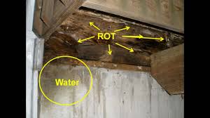 DRY ROT REPAIRS