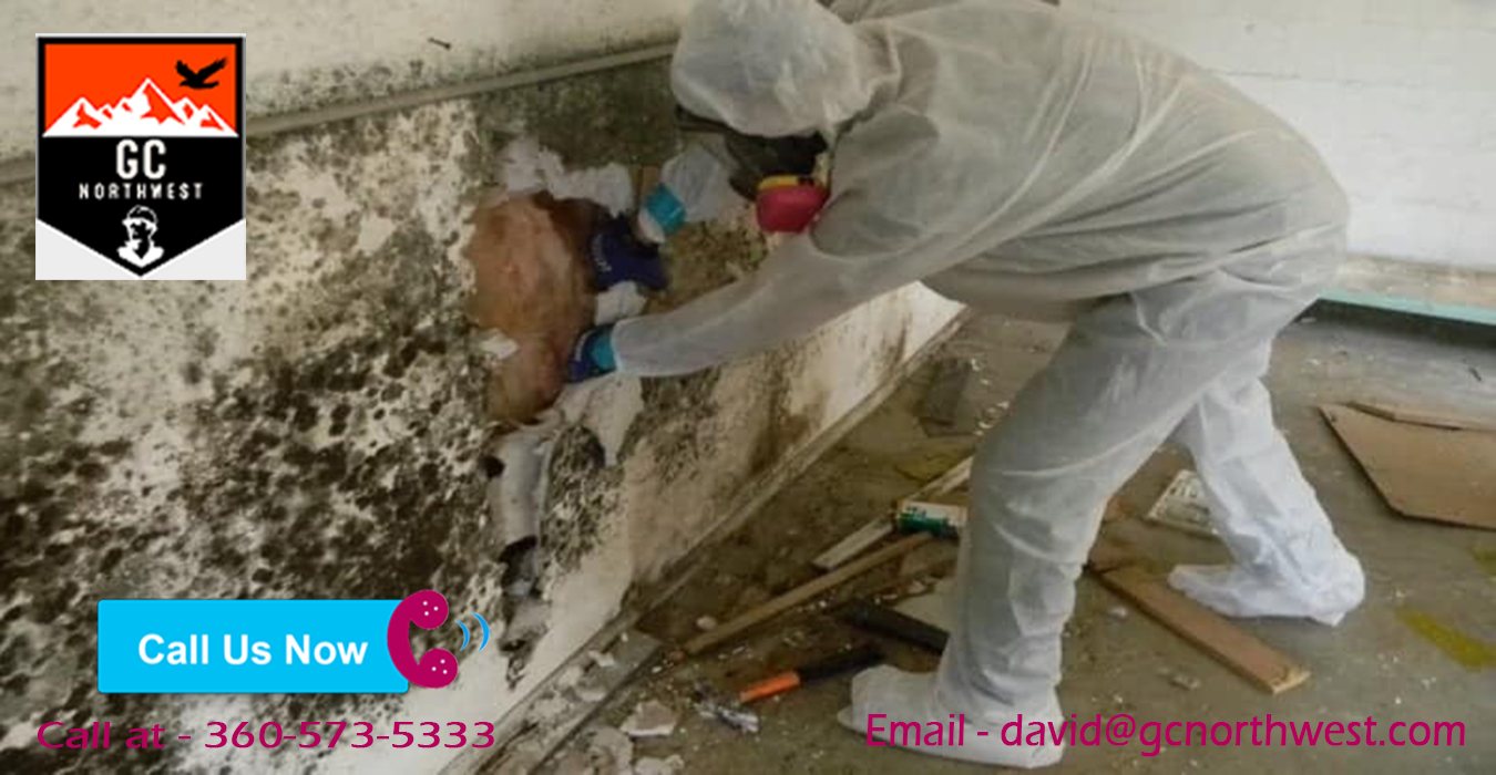 black mold removal Vancouver