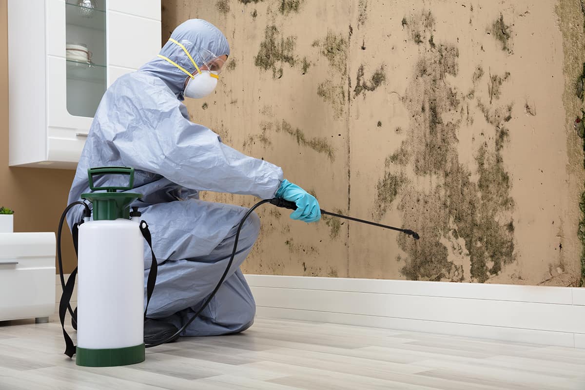 <strong>How to Remediate Your House for Mold?</strong>